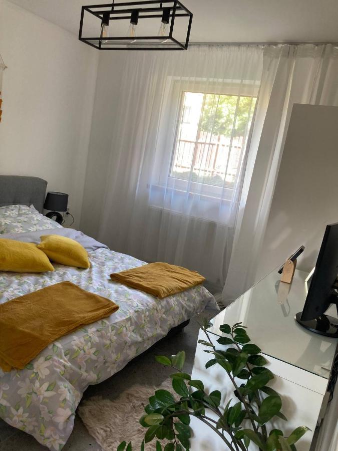 Apartment Loft-lux