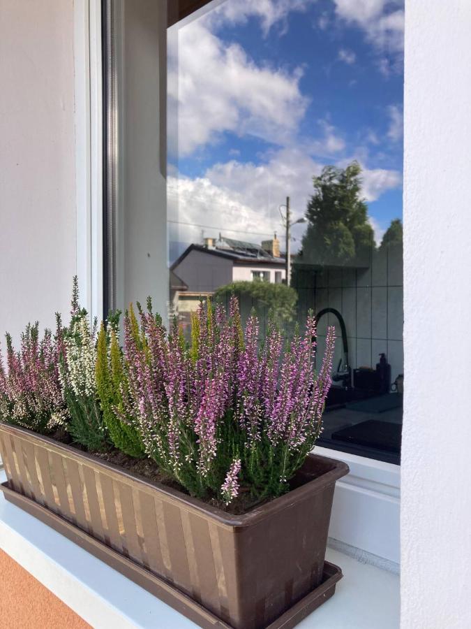 Loft-lux Apartment Jelenia Gora