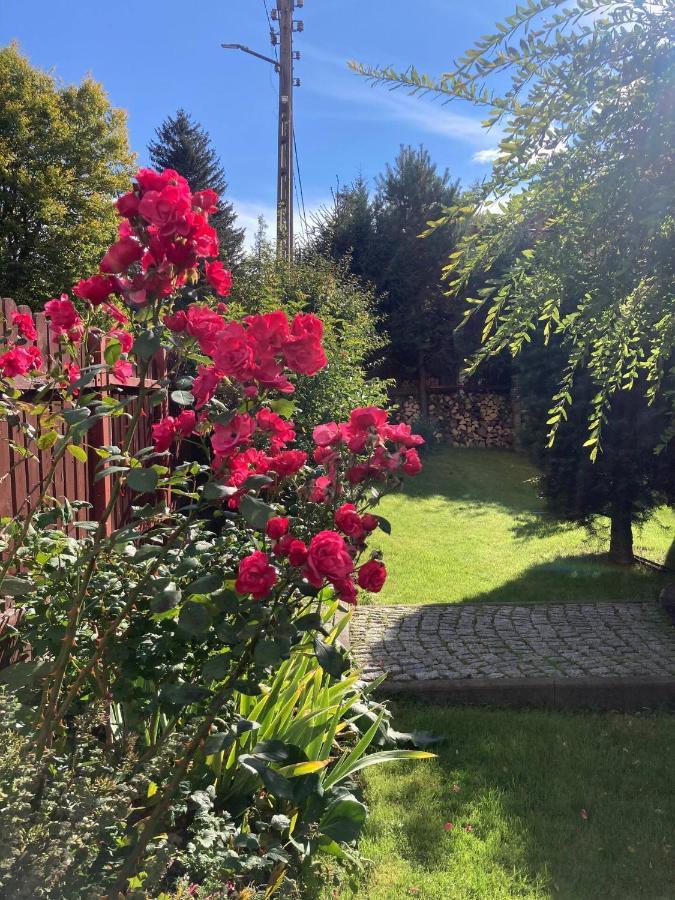 Apartment Loft-lux Jelenia Gora
